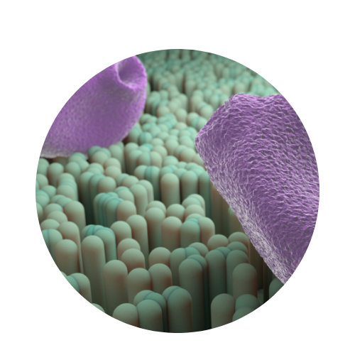 allergic reactions treatments urgent care